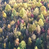 PhotoRetro2025 Thumbnail